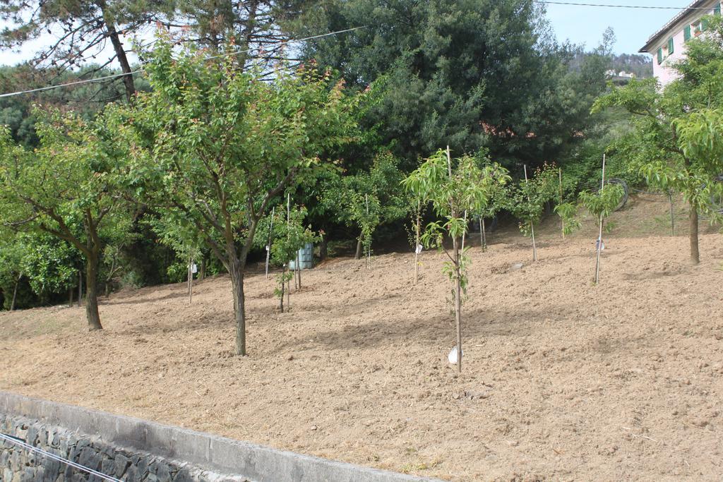 Le Ginestre Διαμέρισμα Λεβάντο Δωμάτιο φωτογραφία